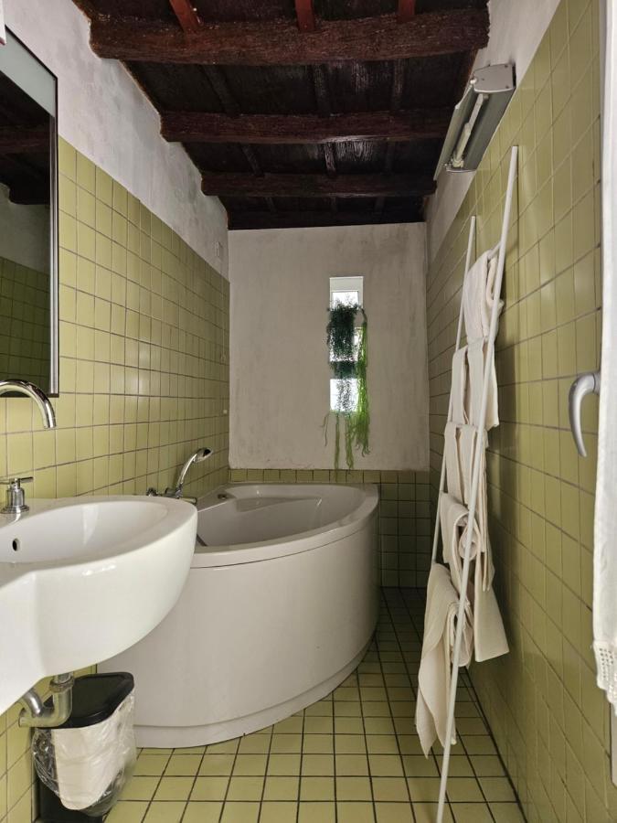 Vm Siro Comi Apartment Pavia Bagian luar foto